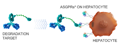 MoDE and TRAP degraders bind circulating target and efficiently deliver to ASGPR on hepatocytes